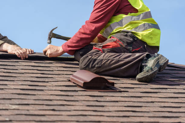 Best Roof Repair Services  in Amherst, VA