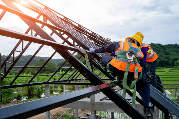 Best Roof Repair Services  in Amherst, VA