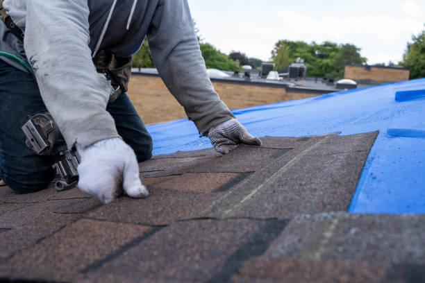 Best Storm Damage Roof Repair  in Amherst, VA
