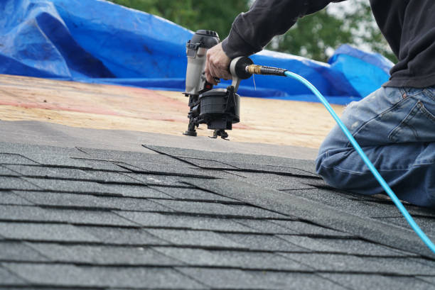 Best Roof Gutter Cleaning  in Amherst, VA