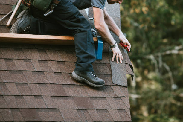 Best Metal Roofing Contractor  in Amherst, VA